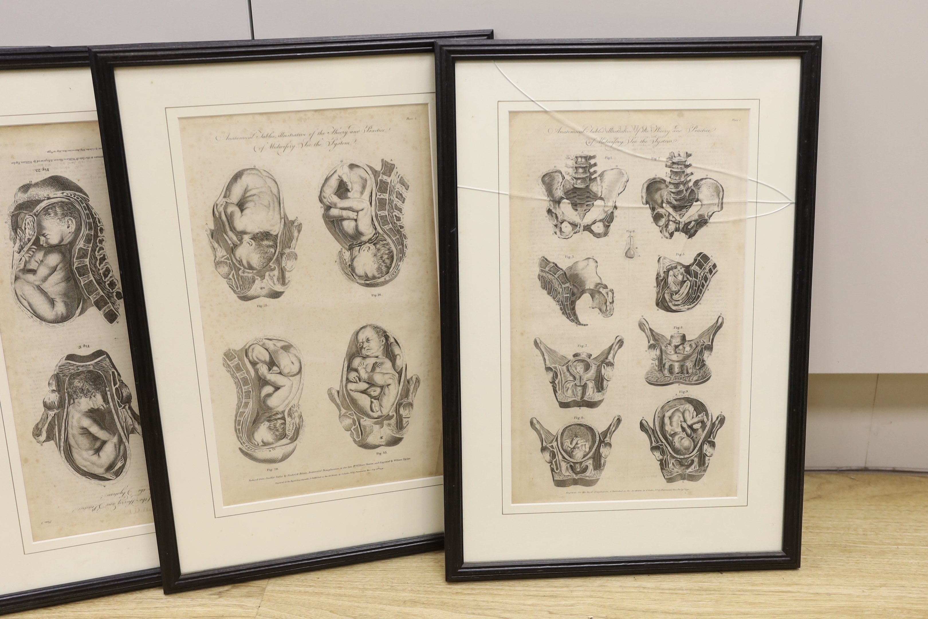 A set of eight medical and anatomical 18th century engravings, illustrating the theory and practice of midwifery, engraved for The Royal Encyclopedia and published as the Act Directs by C. Cooke, each 36 x 22cm